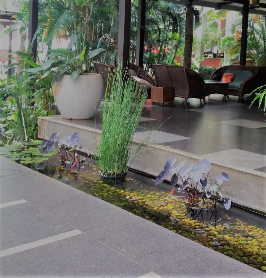 The entrance to the reception has a narrow trench with beautiful fish and aquatic plants